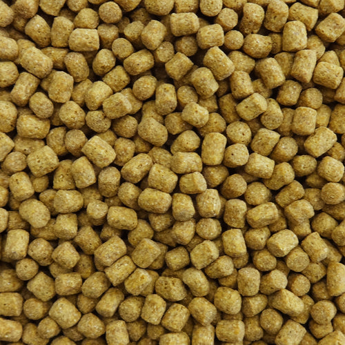 NPF - EXCEL PRO專業級! 鸚鵡糧 中大型鳥類 480g