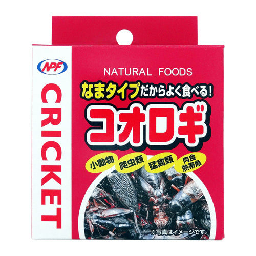 NPF - 蟋蟀天然食品 (小動物、爬行動物、鳥類和食肉熱帶魚)  40g