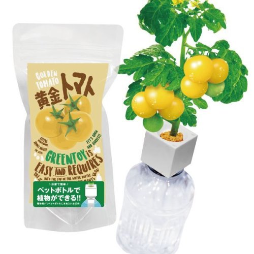 GreenToys - DIY水種植物 種子套裝 黃金蕃茄