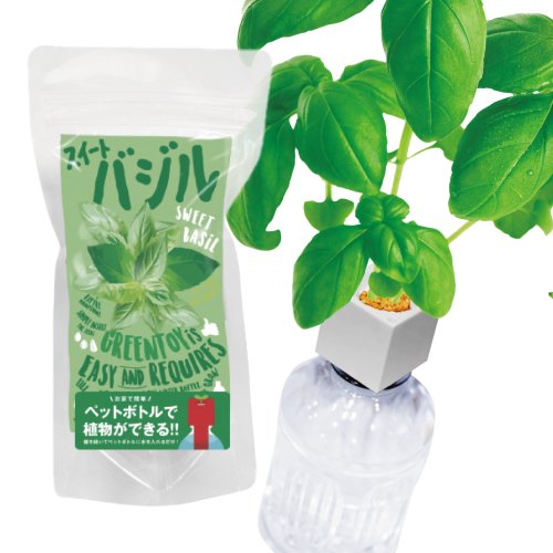 GreenToys - DIY水種植物 種子套裝 羅勒