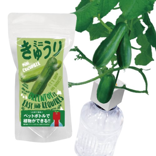 GreenToys - DIY水種植物 種子套裝 小青瓜