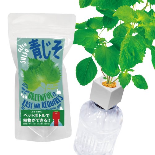 GreenToys - DIY水種植物 種子套裝 紫蘇葉