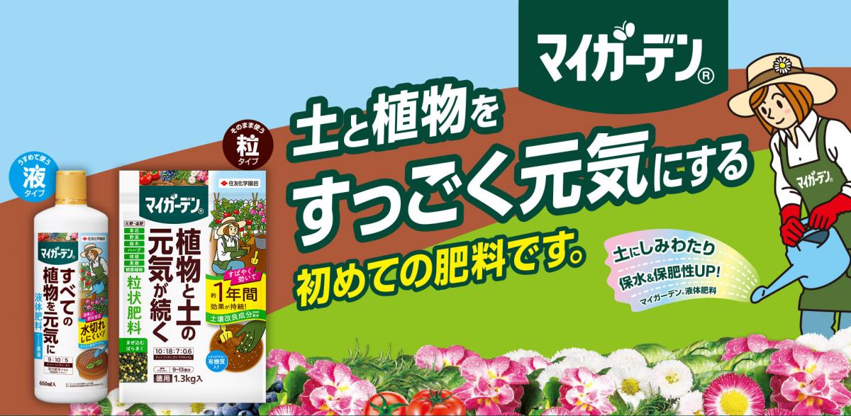 住友化學園藝 - MYGARDEN 9:10:5 植物液體肥料 內有活力成分 650mL