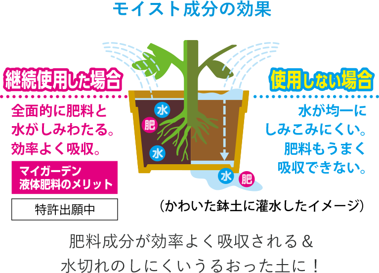 住友化學園藝 - MYGARDEN 9:10:5 植物液體肥料 內有活力成分 650mL